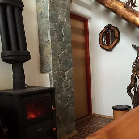 Chalet Domacinstvo Ikonic *
