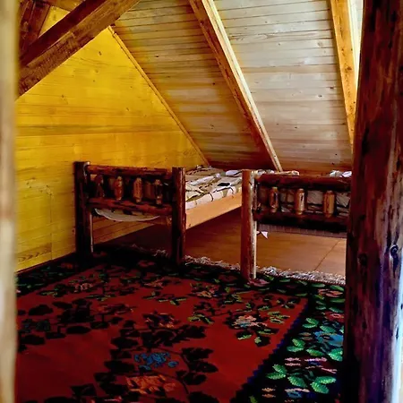 Domacinstvo Ikonic Chalet Tjentiste